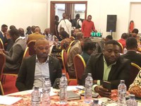 Green Skills and Jobs – A Key Link in the DRC’s Vision for Sustainable Development