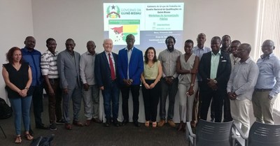 Apoio à Implementação do Quadro Nacional de Qualificações da Guiné-Bissau - Webinars de desenvolvimento de competências